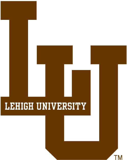 Lehigh Mountain Hawks 0-Pres Alternate Logo iron on transfers for clothing